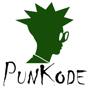 punkode sviluppo e gestione siti web